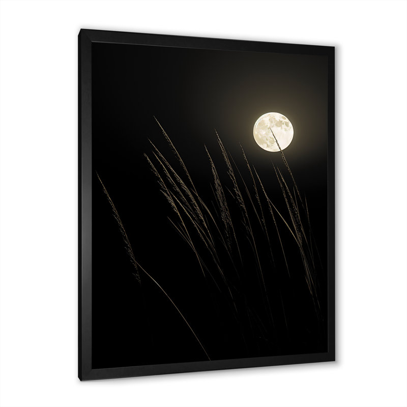 Ivoire, isolement au clair de lune I, Cadre simple noir, H 20 po x l 12 po x P 1 po