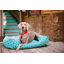 Lit pour chien marocain -1141137440-1141137442