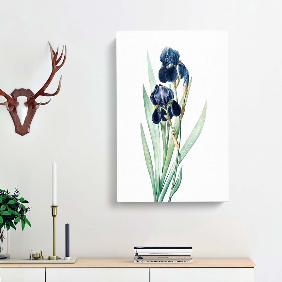 German Iris Flowers by Pierre-Joseph Redoute - Wrapped Canvas