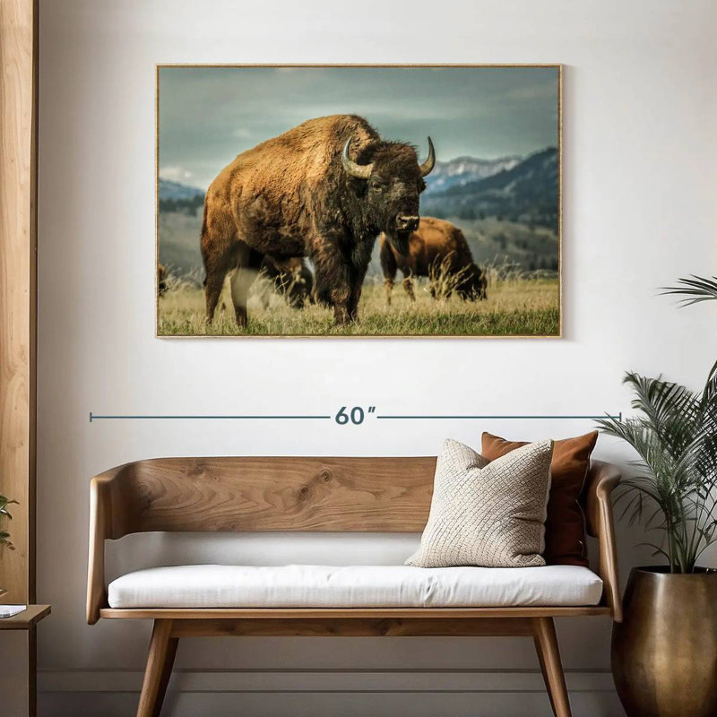 Bison du Wyoming, Cadre flottant en bois naturel, 46 po x 31 po