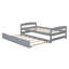 Lit plate-forme avec lit gigogne-444515719