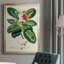 Imperial Tropical Botanical I, reproduction d'art encadrée-88436770-88436775