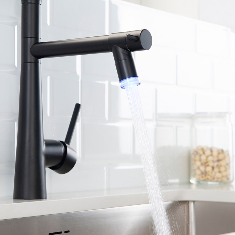 Robinet de cuisine noir mat - Commercial robuste avec ressort rétractable et robinet à pré-rinçage à poignée simple nécessitant peu d'entretien