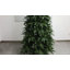 Sapin de Noël vert Aldred-1684586859