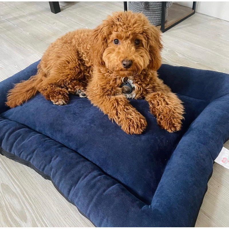 Vera Polyester Pet Bed, 60cm H x 48cm W x 9.5cm D, Navy