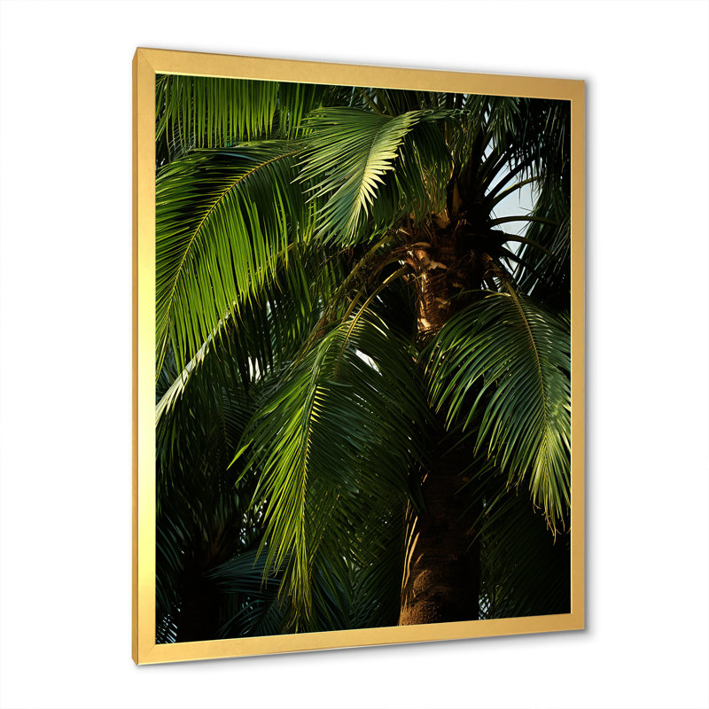 Emerald Jungle Embrace II, Encadrement doré, H 44 po x l 34 po x P 1,5 po