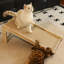 71.7 cm H Cat Scratchers