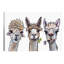Alpacas Trio II - Wrapped Canvas Painting-700788506