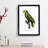Yellow-Crowned Amazon Parrot by F. Levaillant - Picture Frame Graphic Art Print-55641347-55641348