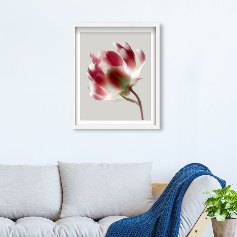 Crimson Core I Shadowbox Floral & Botanical Print by Oliver Gal, Black Frame, 16 x 20, 17.5"H x 21.5"W, White Shadowbox