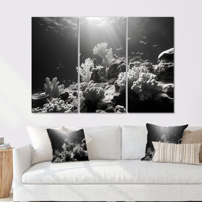 «Black and White Coastal Corals I - Coastal Coral Under Water», ensemble d'art sur toile