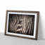 Eye of the Zebra in Abstract - Picture Frame Graphic Art Print-55726333-55726330
