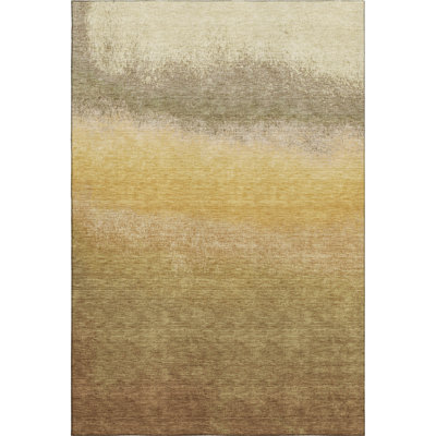 Premium Machine Washable Ariel Ombre Rug