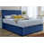 Blue is out of stock