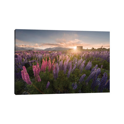 Spring In New Zealand III by Daniel Kordan - Wrapped Canvas Gallery-Wrapped Canvas Giclée