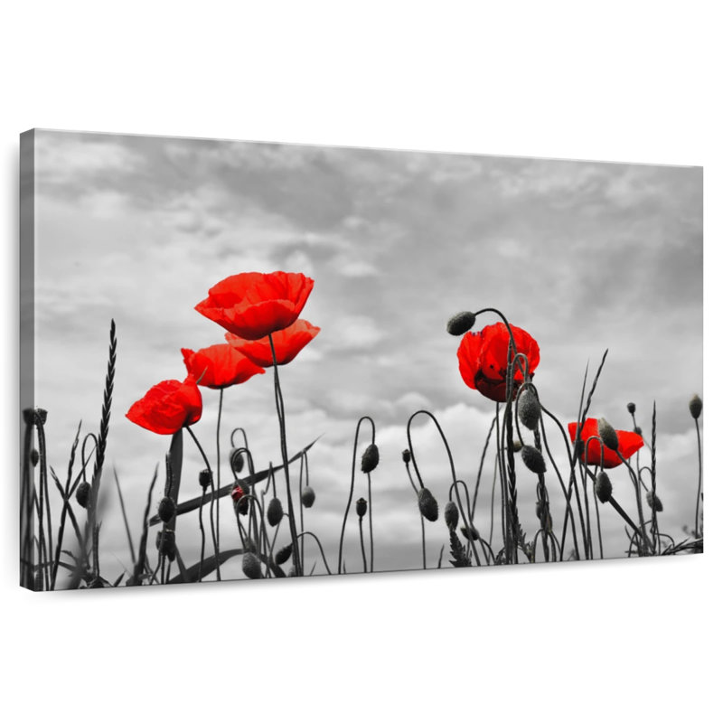 Harnek Pop Red Poppies