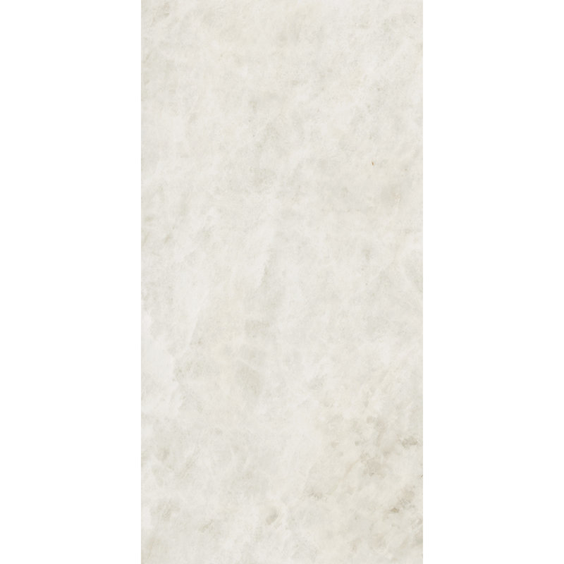Societal 24" X 48" Porcelain Stone Look Tile, Artic Veil