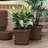Terra Traditional Plastic Indoor/Outdoor Pot Planter-759619945-759619949