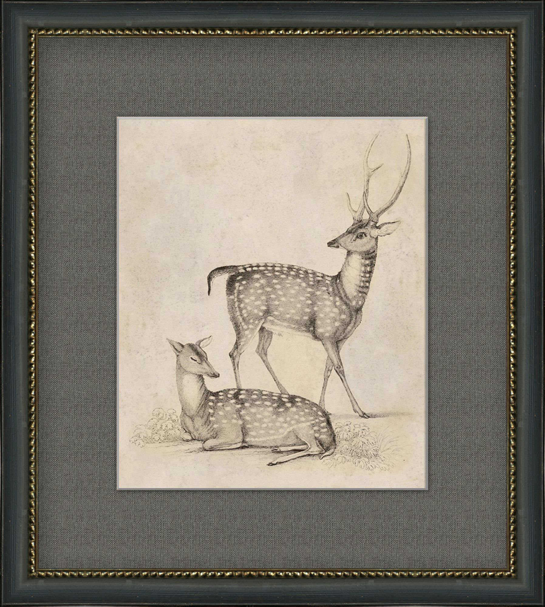 Group of Deer -- Vintage hot Fine Art Painting -- Framed Digitally Printed Canvas Art