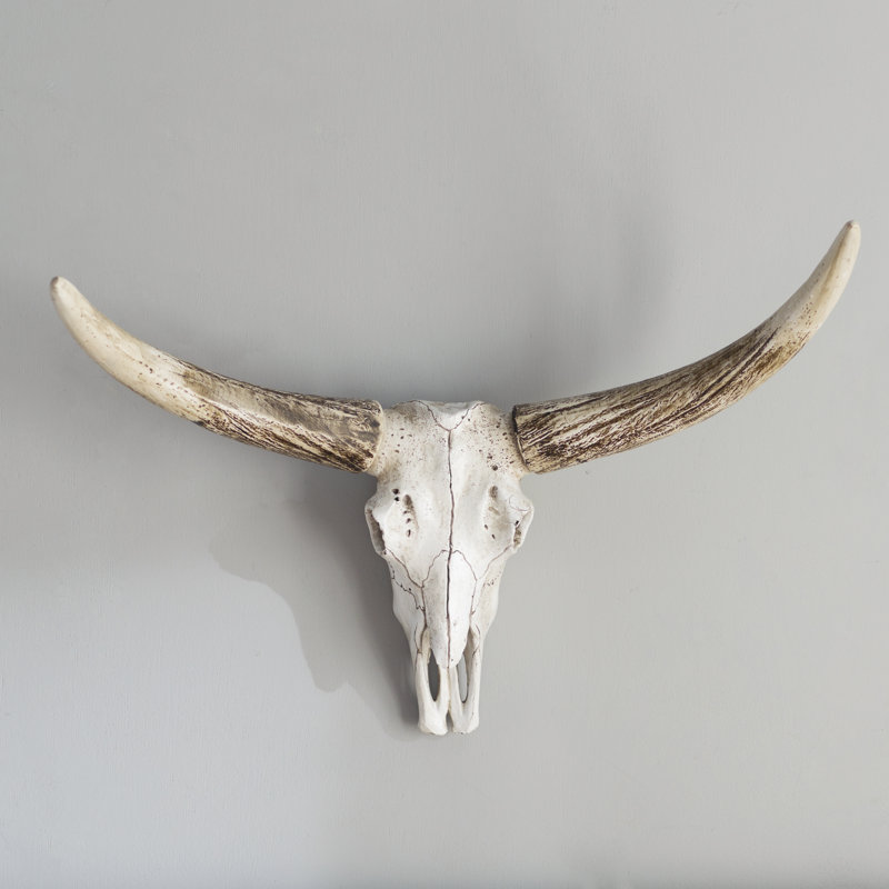 Resin Steer Skull Wall Décor