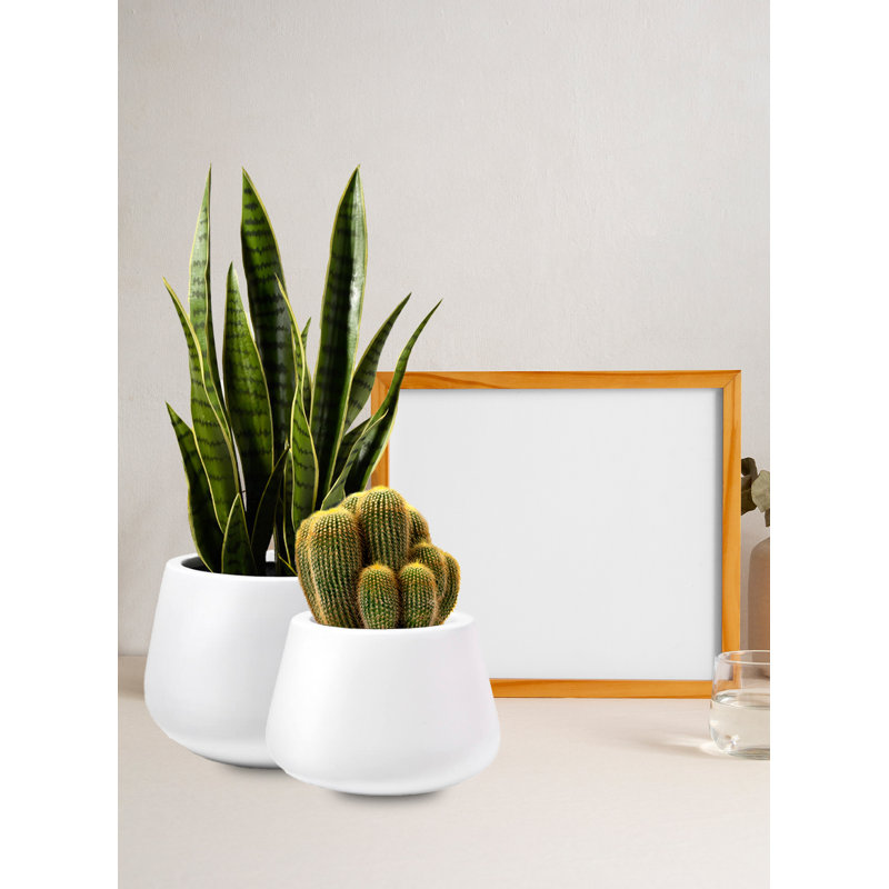 Pot à fleurs Tabbusum, H 8,5 po x l 12 po x P 12 po