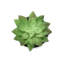 Plante artificielle-1214834763