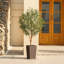 Adcock Artificial Olive Tree with Decorative Pot, UV Resistant Faux Olive Tree with Natural Trunk-700034063-700034058