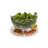 Anjae Cake Stand