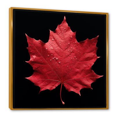 Red Leaves Red Ruby I