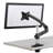 Cotytech Single Screen Desktop Mount-12407451-12407448