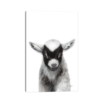 Black Baby Goat - Wrapped Canvas Painting