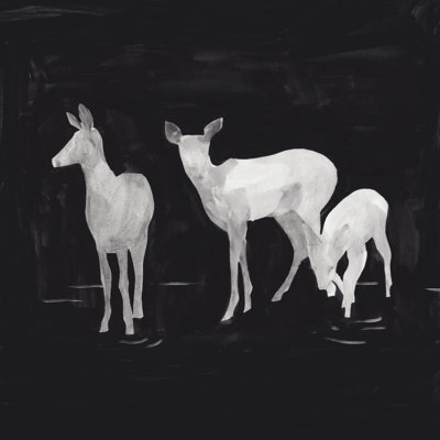 Sophisticated Whitetail II 1 Piece Wrapped Canvas Painting