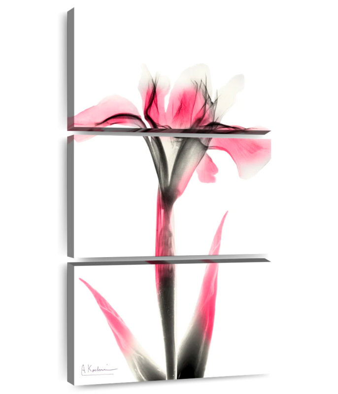 Pink Infused Iris I, 32" H x 15" W