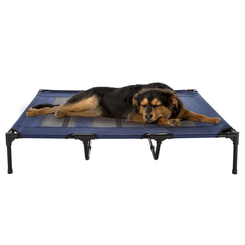 Polyester Pet Bed, 22.86cm H x 121.92cm W x 91.44cm D, Blue