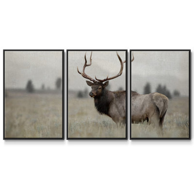 " Grand Elk " 3 - Pieces