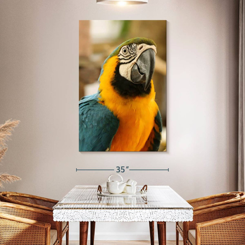 Brampt Exotic Macaw, 51" H x 34" W