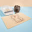 Tapis filtrant pour litière pour chat