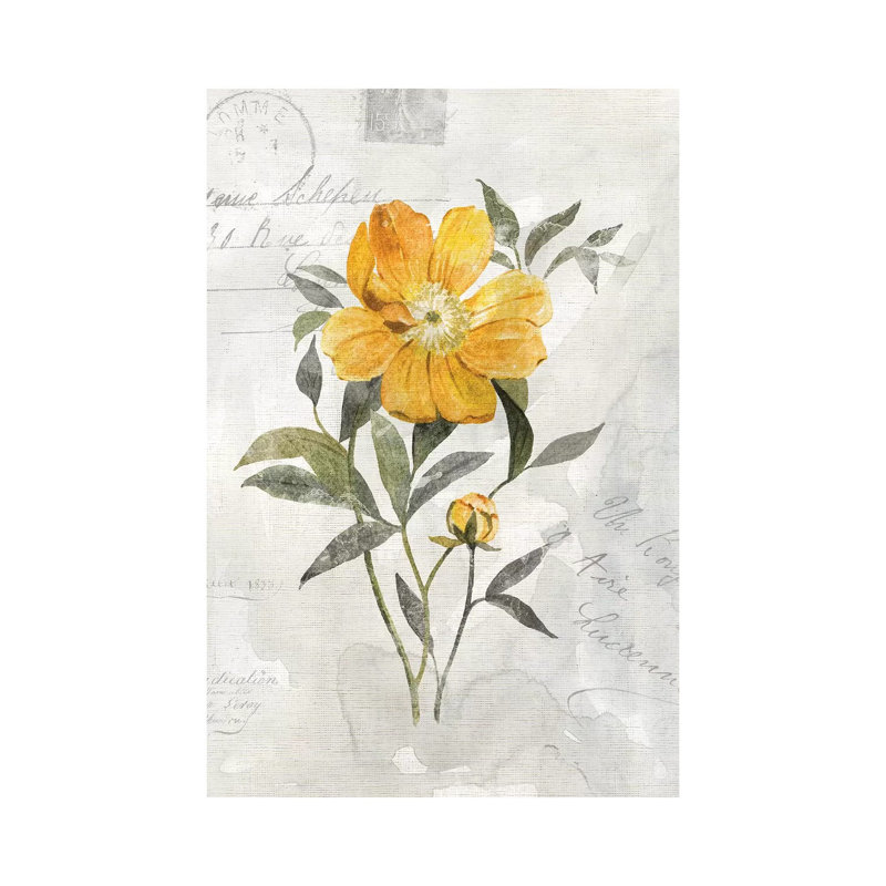 Canary Linen Peony by Carol Robinson - Print on Canvas, Wrapped Canvas, 30.48 cm H x 45.72 cm W