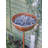 Koschwanez Decorative Bird Feeder