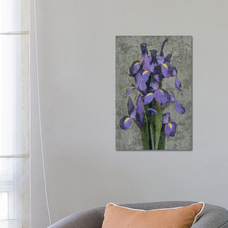 Iris by John Seba - Wrapped Canvas Print, 66.04 cm H x 45.72 cm W x 1.91 cm D