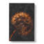 Dandelion Puff - Wrapped Canvas Painting-56643288