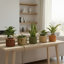 Round Strata Planter MD - Dark Brown-601607776-601607783