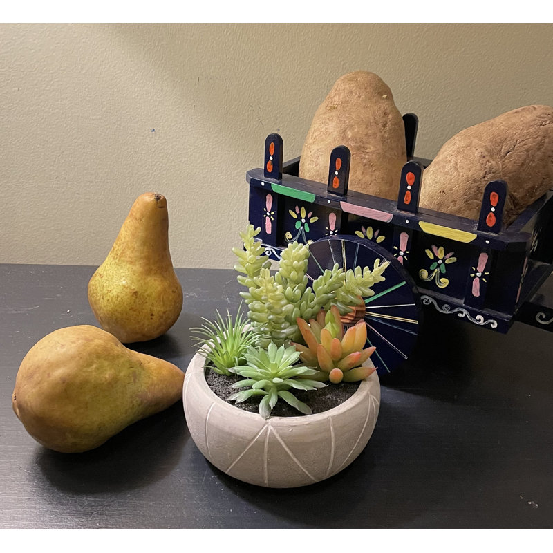 Plante grasse artificielle 3 po en pot