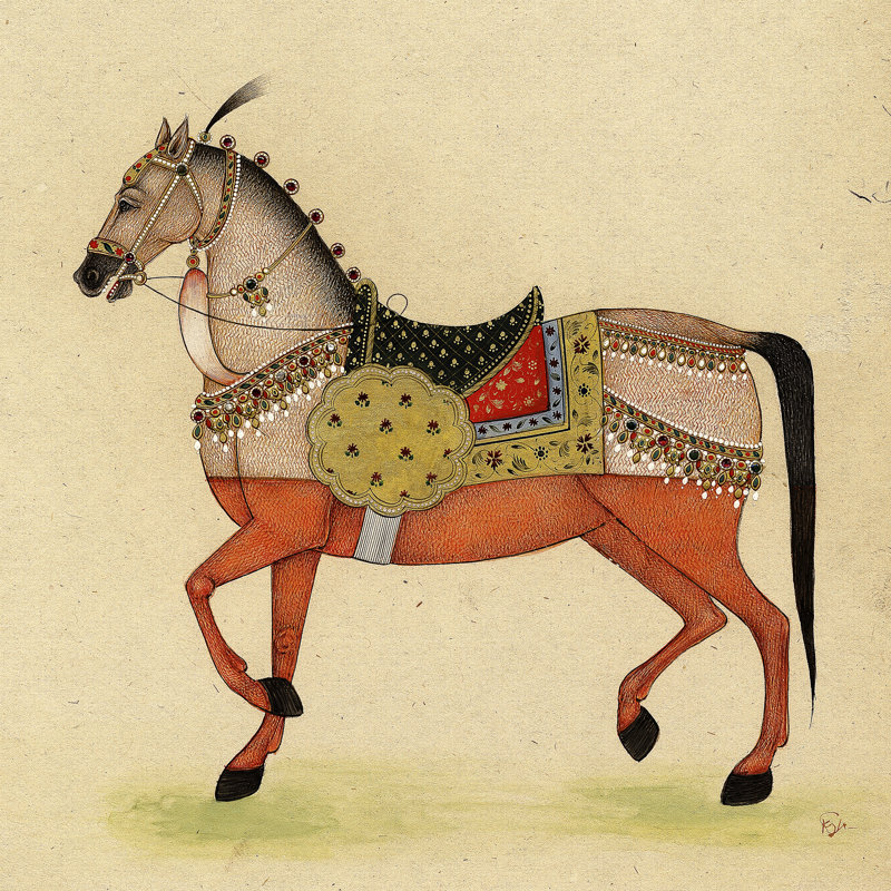 On FAP Horse From India I by Illuminations - Wrapped Canvas Print, 30cm H x 30cm W
