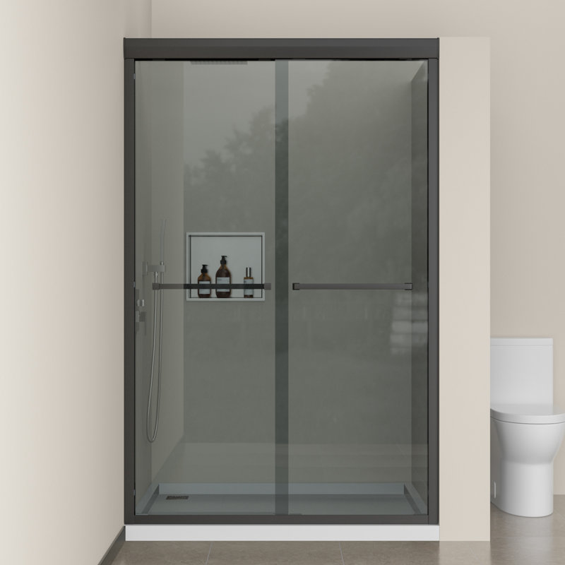 Porte de douche coulissante double l 48 po x H 76 po, verre trempé de 8 mm avec panneaux d'intimité givrés, cadre en acier inoxydable SUS 304, installation réversible