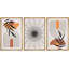 " Geometric Mid-Century Polygon Plants Nature Abstract Illustrations Modern Art Boho Decor " 3 - Pieces on-98696384-98696385
