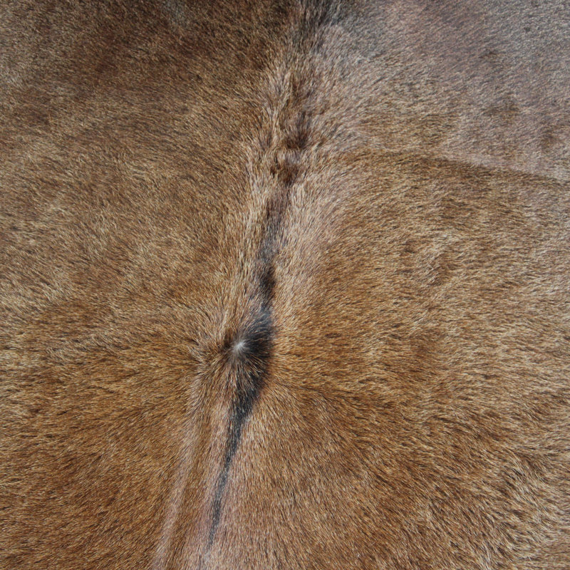 Cowhide Rug Tan Grey