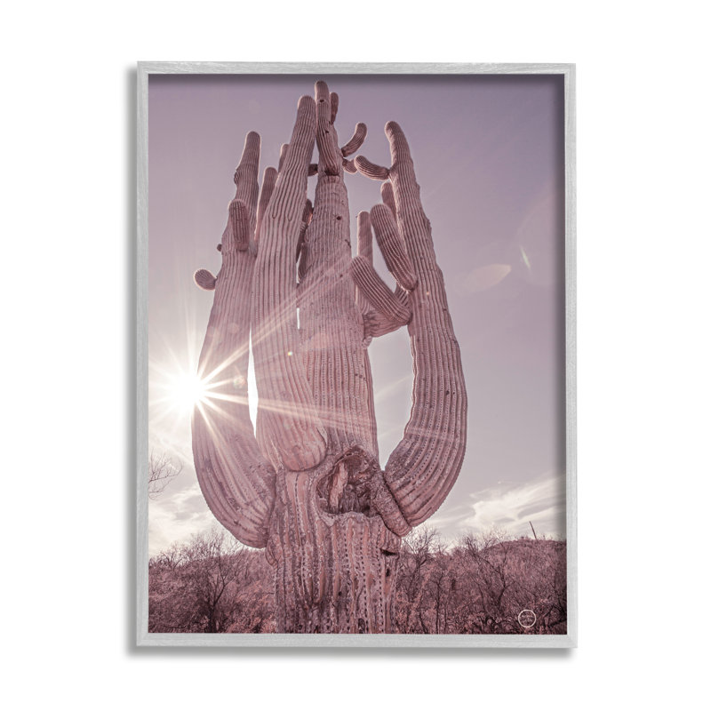 Désert soleil, cactus, paysage, fusée solaire, photographie de ferme grise surdimensionnée, encadré par estampe numérique, art texturé par Nathan Larson