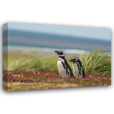 Latitude Run® Illg, Cathy and Gordon Gallery Wrapped Canvas Art: Sea Lion Island Two Magellanic penguins