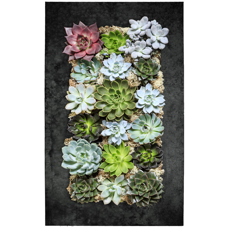 Willamette Metal Wall Planter, Black Zinc, 28.5" H x 17.56" W x 3.63" D